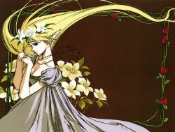 deedlit from record of lodoss war by yuuki nobuteru