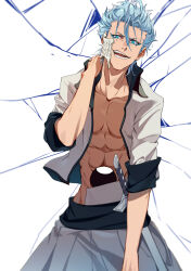 grimmjow jaegerjaquez from bleach