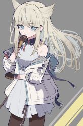 perlica (arknights) from arknights