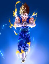 vegetto from dragon ball