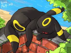umbreon from pokemon