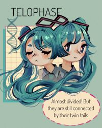 hatsune miku from vocaloid