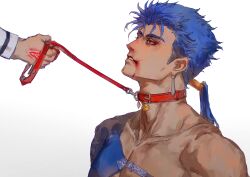 cu chulainn (fate) from fate/grand order