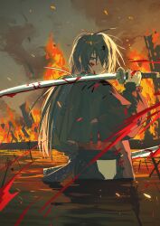 nige jouzu no wakagimi fan art