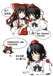 hakurei reimu from touhou