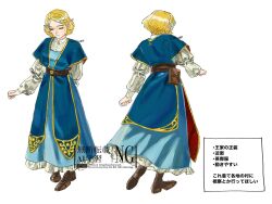 princess zelda from the legend of zelda