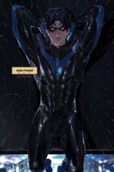 nightwing from dc comics