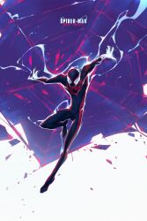 spider-man (miles morales) from marvel