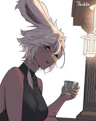 viera from final fantasy by byuub