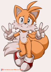 tails (sonic) from sonic (series)