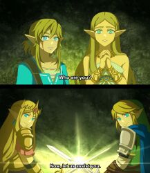 link from hyrule warriors