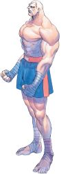 sagat from street fighter by bengus