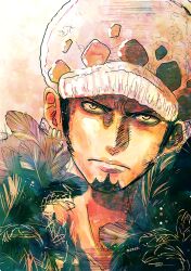 trafalgar law from one piece