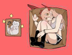 meowy (chainsaw man) from chainsaw man