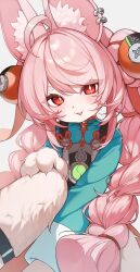 zhao (zenless zone zero) from zenless zone zero