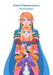 link from hyrule warriors