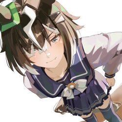 umamusume fan art
