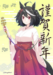 kitasan black (umamusume) from umamusume by mikage takashi