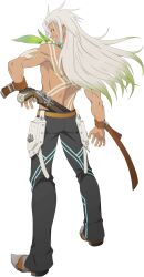 zaveid (tales) from tales of (series)