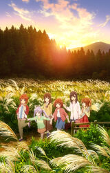 ichijou hotaru from non non biyori