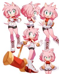 amy rose from sonic (series)