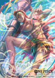 one piece fan art