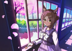 fine motion (umamusume) from umamusume
