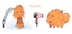 pombon from pokemon by sleepy cheeky