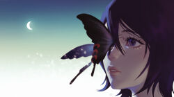 kuchiki rukia from bleach