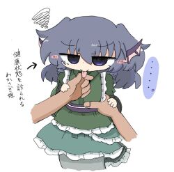 wakasagihime from touhou by kuuinusuki