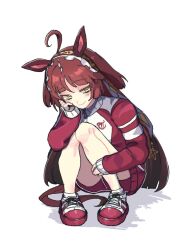 red desire (umamusume) from umamusume