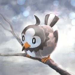 starly from pokemon