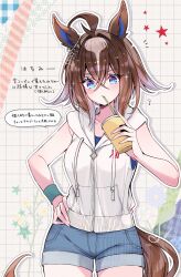 umamusume fan art