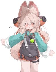 zhao (zenless zone zero) from zenless zone zero