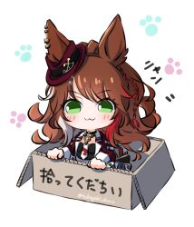 forever young (umamusume) from umamusume