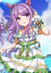mejiro mcqueen (umamusume) from umamusume