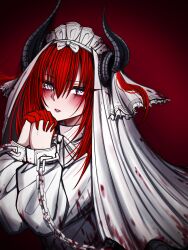 elizabeth bathory (fate) from fate/grand order