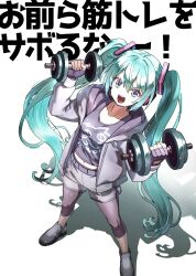 hatsune miku from vocaloid