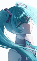 hatsune miku from vocaloid