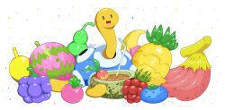 shuckle from pokemon