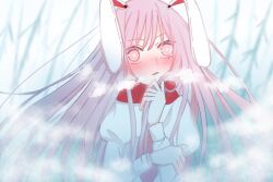 reisen udongein inaba from touhou