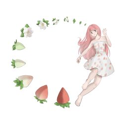nikki (nikki) from nikki (series)