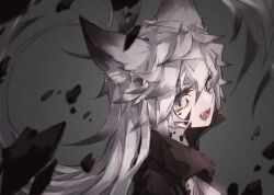 lappland (arknights) from arknights