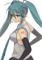 hatsune miku from vocaloid