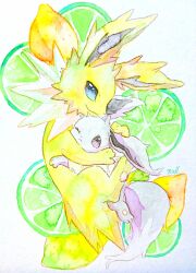 eevee from pokemon