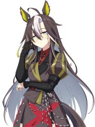 dream journey (reminder of dreamland) (umamusume) from umamusume