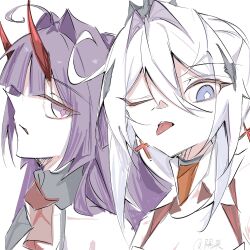 kiana kaslana from honkai (series)