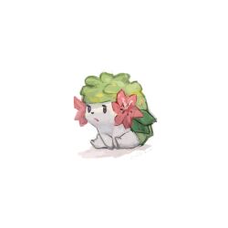 shaymin from pokemon