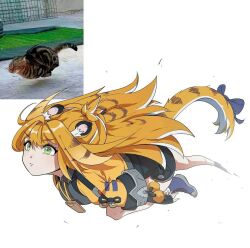 ju fufu from zenless zone zero