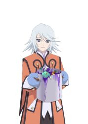 raine sage from tales of (series)